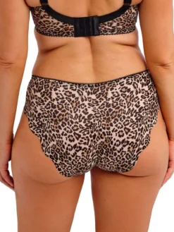 Braga Clasica Fantasie Talia Leopard